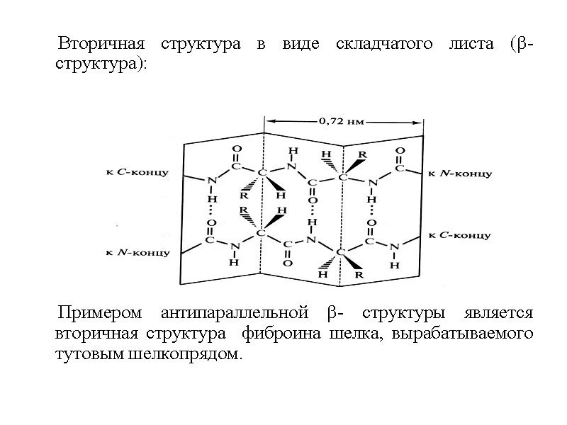 Вторичная структура в виде складчатого листа (- структура):      